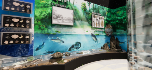 青藏高原綜合科學考察與研究古生物展廳 在拉薩之巔，探尋生命演化的史詩
