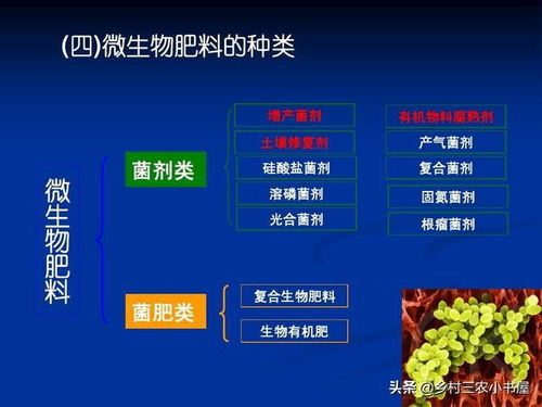 可持續(xù)發(fā)展之光 有機(jī)農(nóng)業(yè)的技術(shù)實踐與生物質(zhì)能的協(xié)同發(fā)展